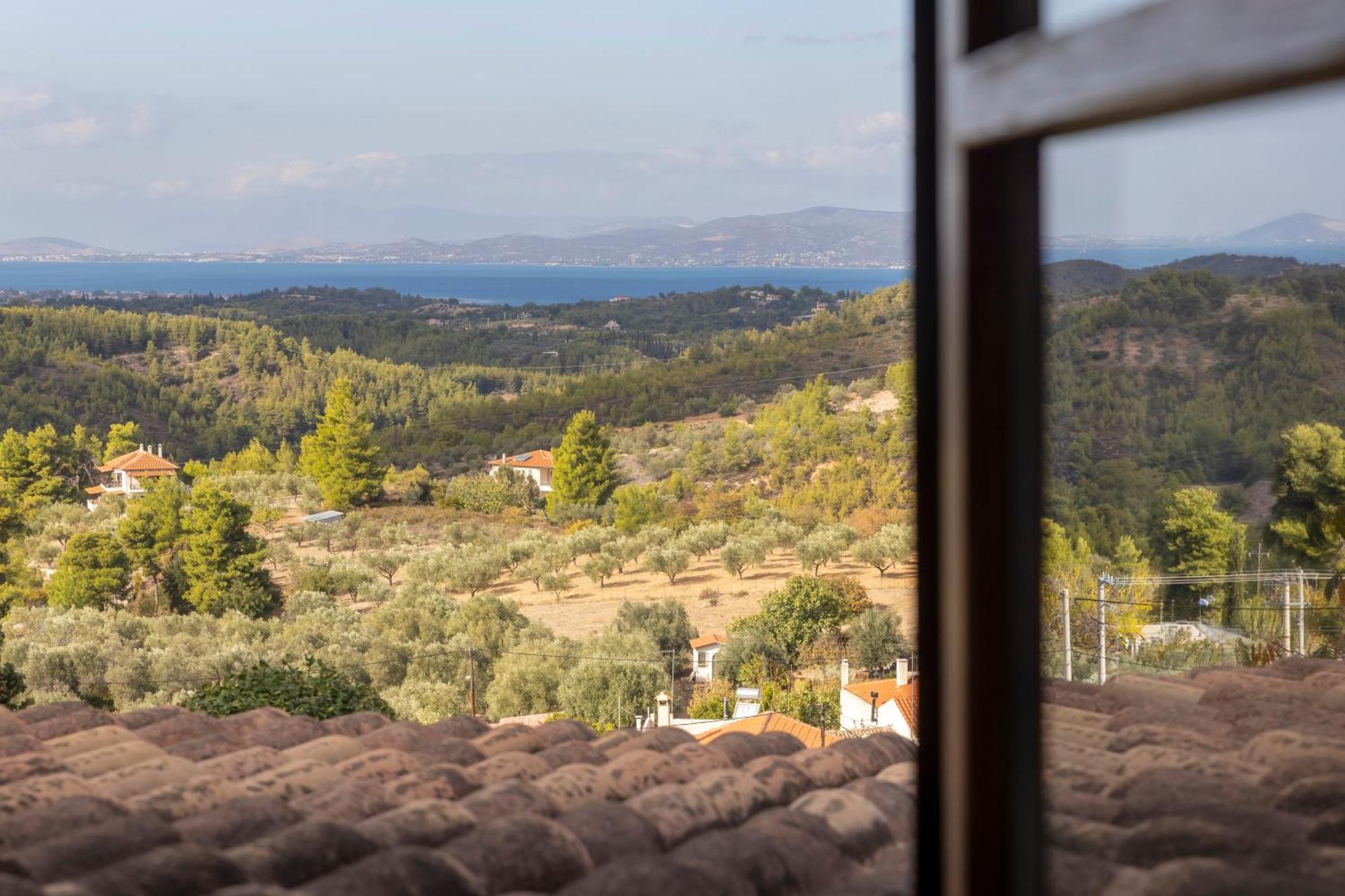 Villa Marrone Splendid Seaview Markopoulon Oropou Екстериор снимка